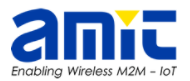AMIT Wireless