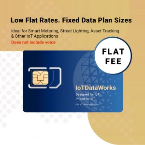 IoTDataWorks Prepaid Data Plans with Multi-Year Terms | From NB-IoT and Cat M to LTE | Global Coverage