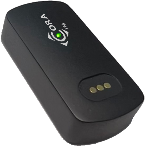 Codepoint Cora Micro Tracker | LoRaWAN, Wi-Fi, BT | Temperature and 3-Axis Accelerometer | CT1020