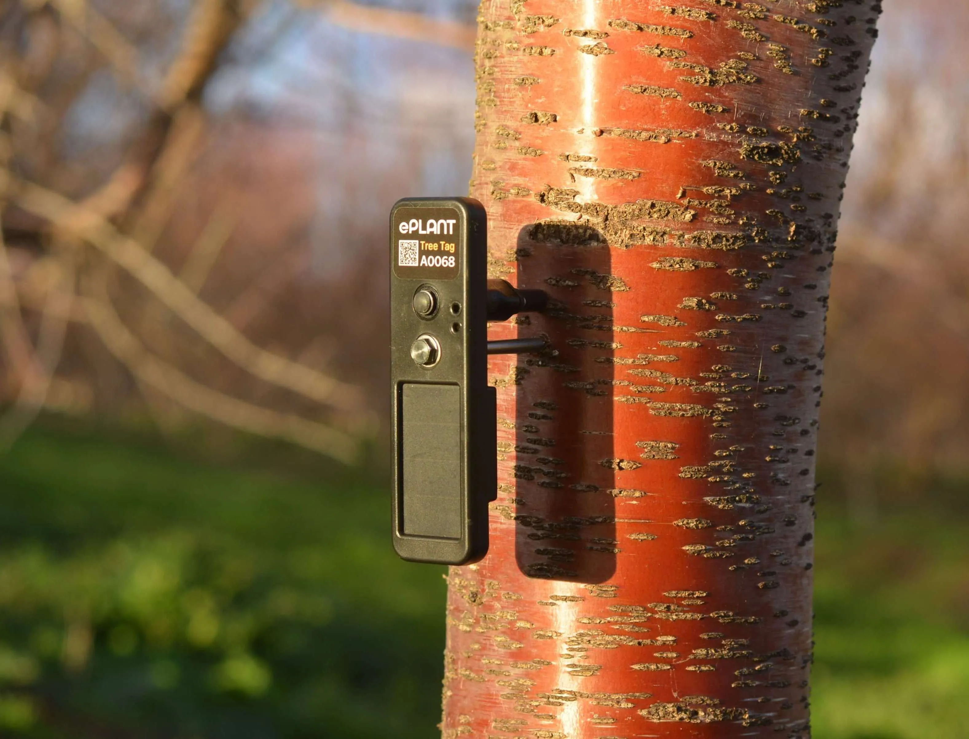 ePlant TreeTag LoRaWAN Wireless Dendrometer | 2-Year ePlant Platform Access | United States US915 - Image 2