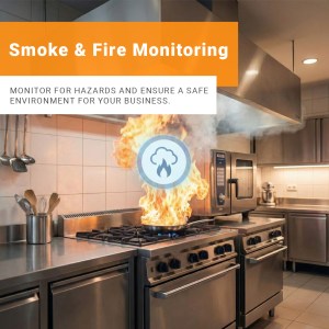 SensorWorks Smoke & Fire LoRaWAN® Solution (US915) | 12 Months of Monitoring Included